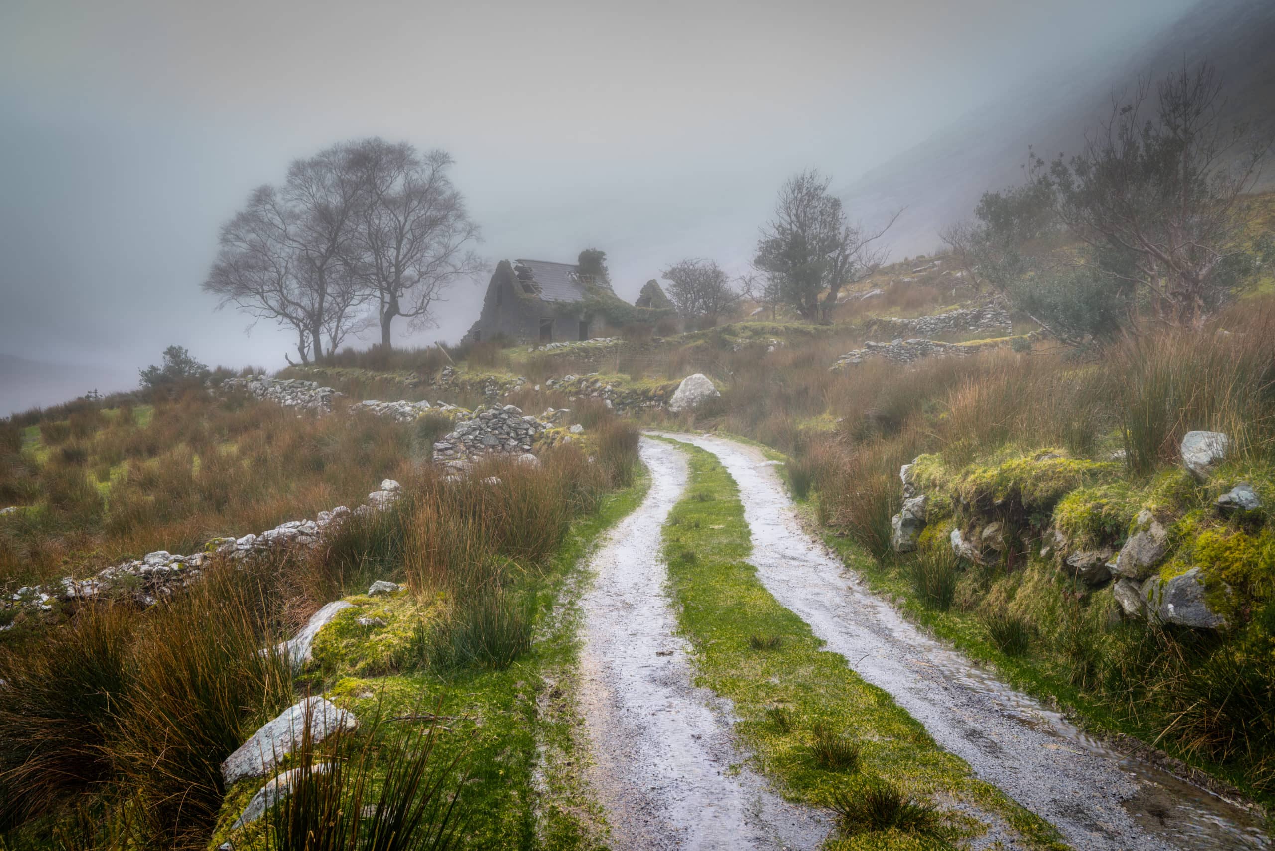 Molls Cottage in the mist, Kerry, Ireland