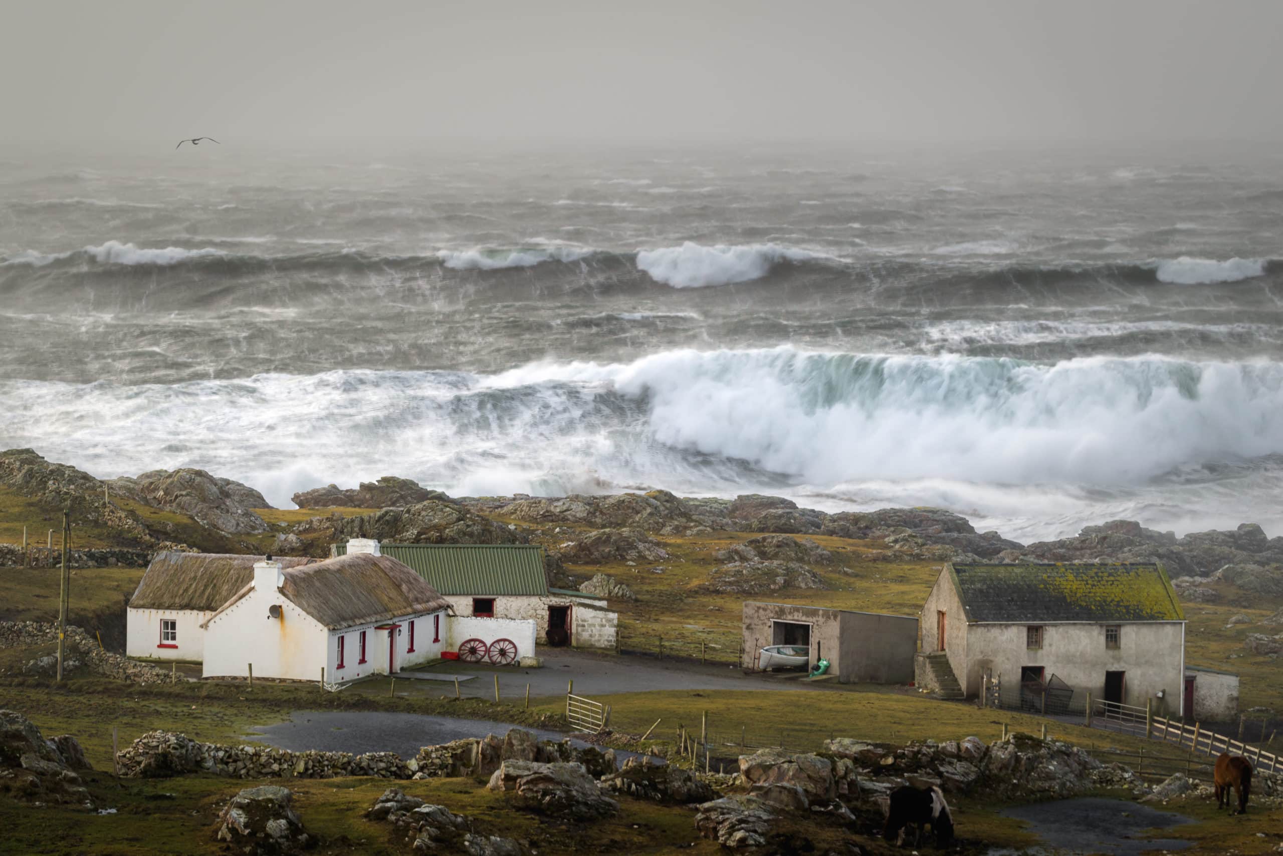 Storm Ciara and thatched cottage, Malin Head, Donegal, Ireland