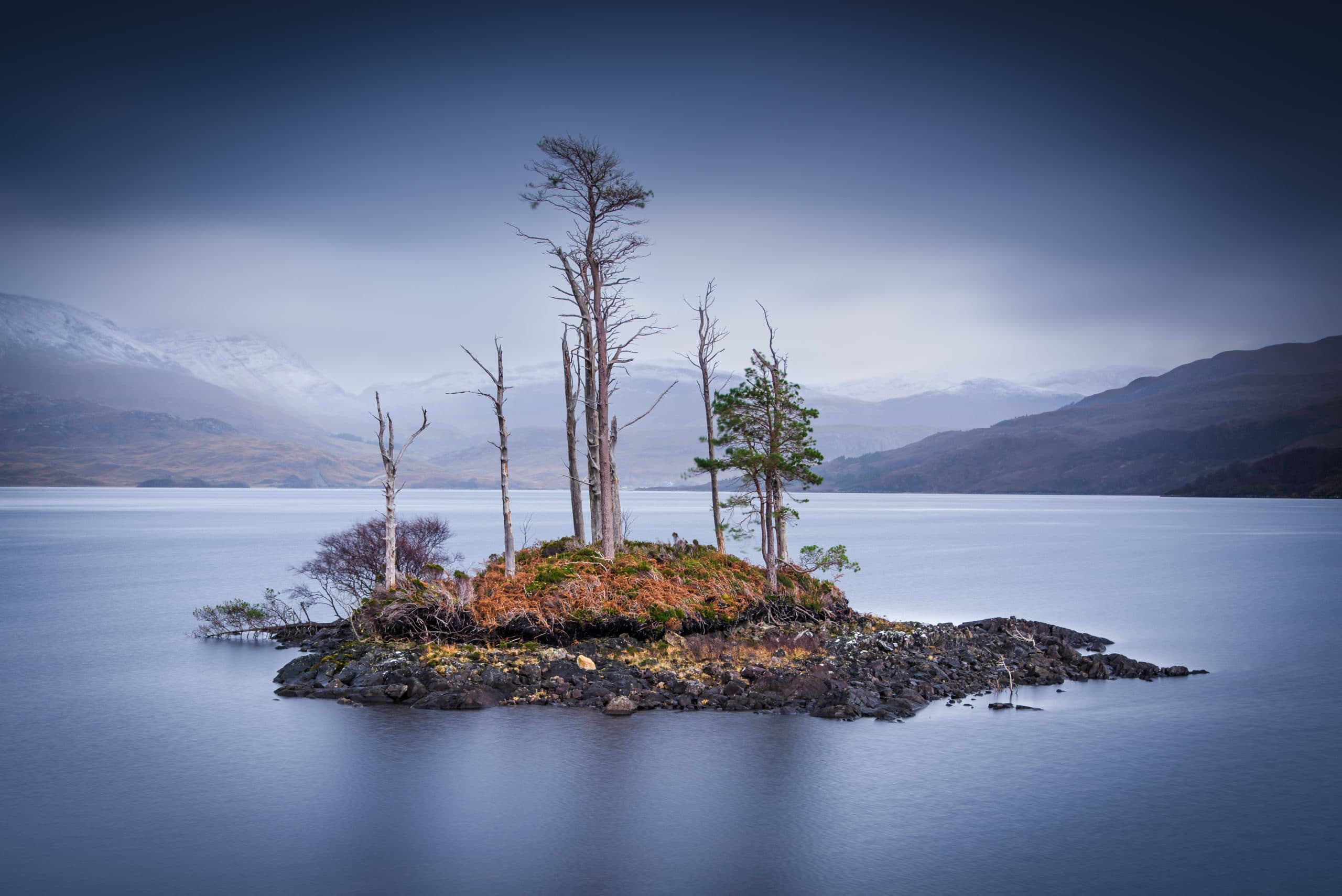 Lough Assynt trees, Scotland
